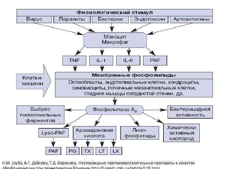 Н. М. Шуба, А. Г. Дубкова, Т. Д. Воронова, Нестероидные противовоспалительные препараты в качестве
