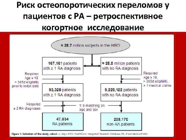 Риск остеопоротических переломов у пациентов с РА – ретроспективное когортное исследование 