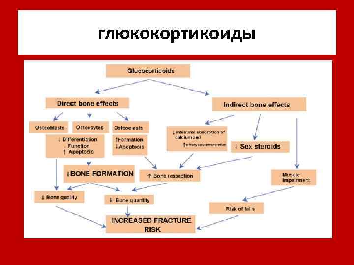 глюкокортикоиды 
