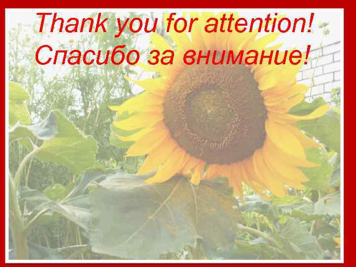 Thank you for attention! Спасибо за внимание! 