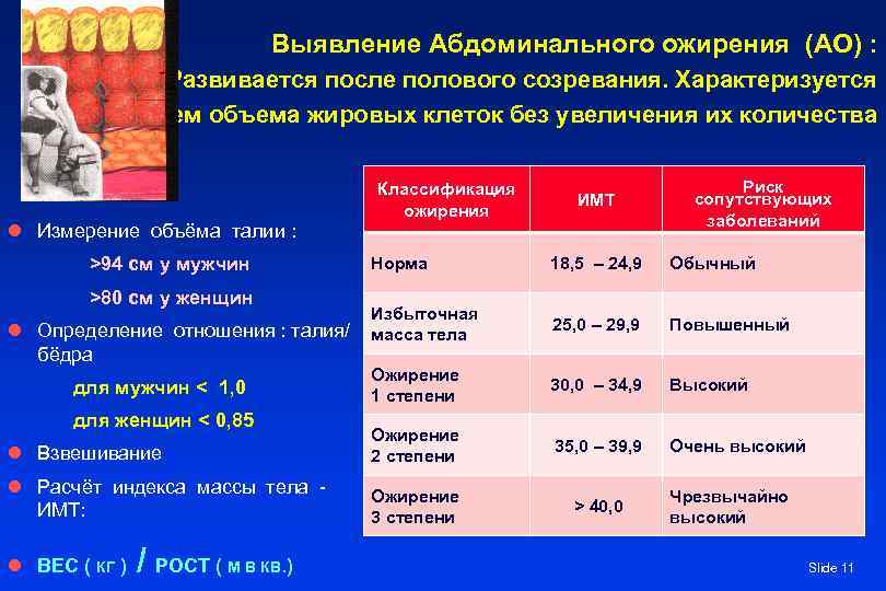 Выявление Абдоминального ожирения (АО) : Развивается после полового созревания. Характеризуется увеличением объема жировых клеток