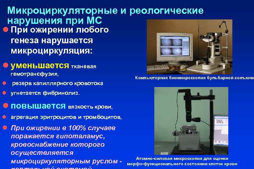 Микроциркуляторные и реологические нарушения при МС l При ожирении любого генеза нарушается микроциркуляция: l