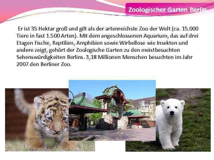 Zoologischer Garten Berlin Er ist 35 Hektar groß und gilt als der artenreichste Zoo