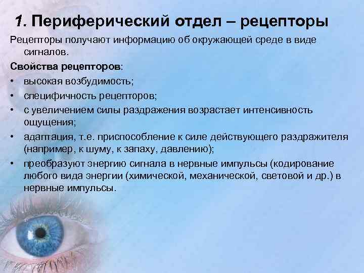 1. Периферический отдел – рецепторы Рецепторы получают информацию об окружающей среде в виде сигналов.