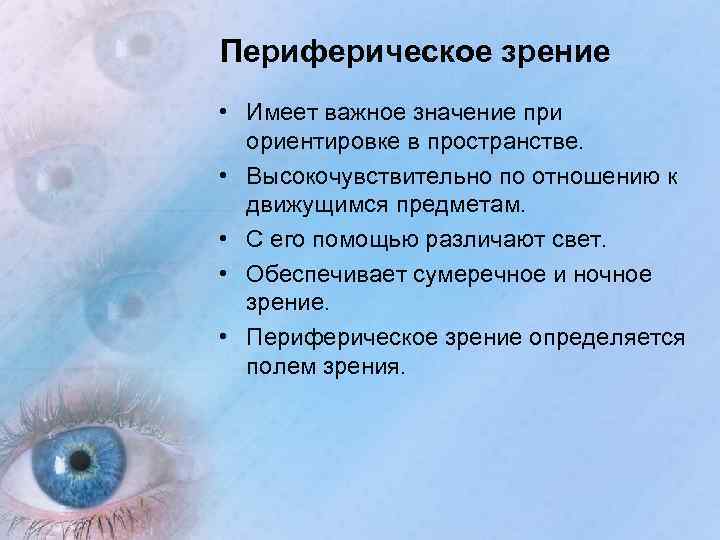 Периферическое зрение • Имеет важное значение при ориентировке в пространстве. • Высокочувствительно по отношению