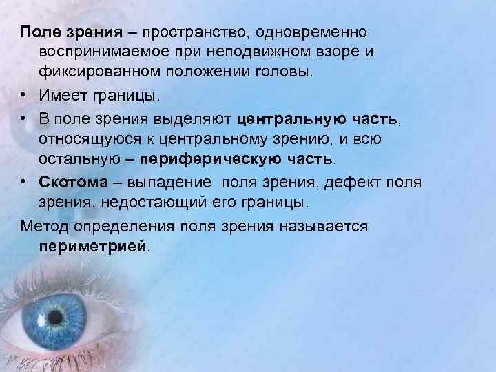 Поле зрения – пространство, одновременно воспринимаемое при неподвижном взоре и фиксированном положении головы. •