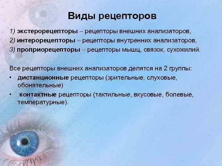 Виды рецепторов 1) экстерорецепторы – рецепторы внешних анализаторов, 2) интерорецепторы – рецепторы внутренних анализаторов,