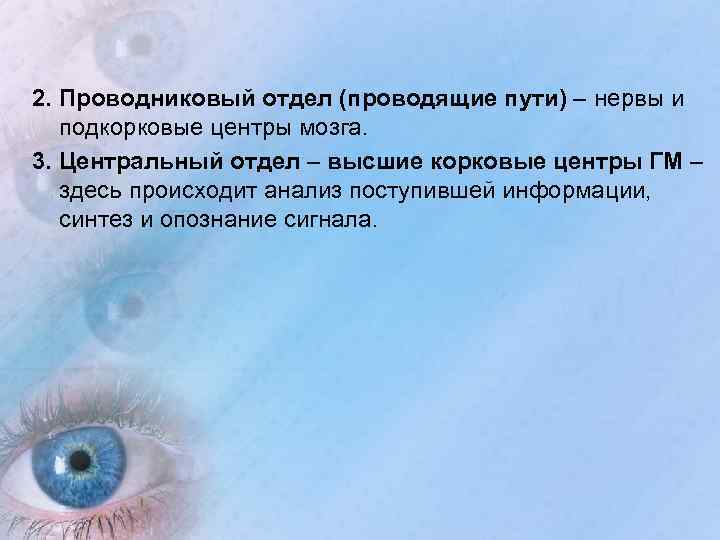 2. Проводниковый отдел (проводящие пути) – нервы и подкорковые центры мозга. 3. Центральный отдел