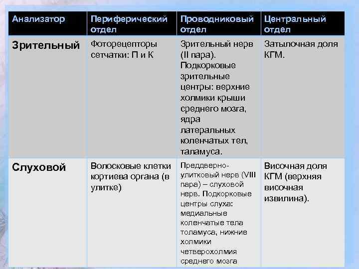 Анализатор Периферический отдел Зрительный Фоторецепторы сетчатки: П и К Слуховой Проводниковый отдел Центральный отдел