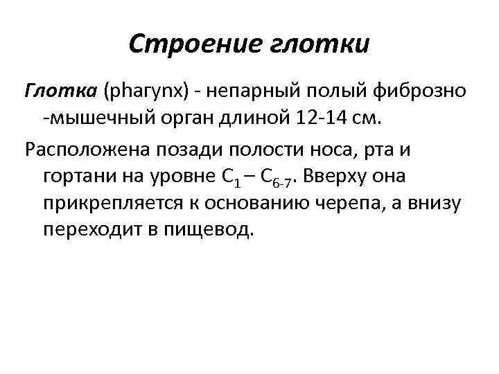 Строение глотки Глотка (рhагуnх) непарный полый фиброзно мышечный орган длиной 12 14 см. Расположена
