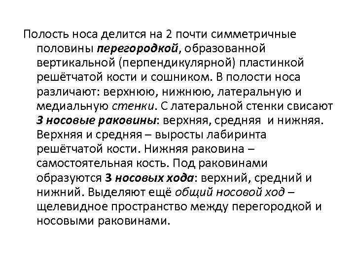 Полость носа делится на 2 почти симметричные половины перегородкой, образованной вертикальной (перпендикулярной) пластинкой решётчатой