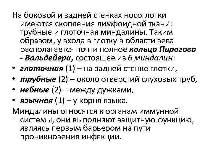 На боковой и задней стенках носоглотки имеются скопления лимфоидной ткани: трубные и глоточная миндалины.