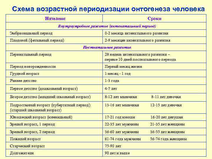 Схема возрастной периодизации онтогенеза человека Название Сроки Внутриутробное развитие (антенатальный период) Эмбриональный период 0