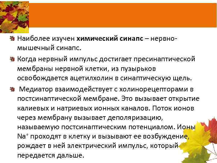 Наиболее изучен химический синапс – нервно мышечный синапс. Когда нервный импульс достигает пресинаптической мембраны