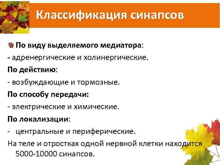 Классификация синапсов По виду выделяемого медиатора: - адренергические и холинергические. По действию: возбуждающие и