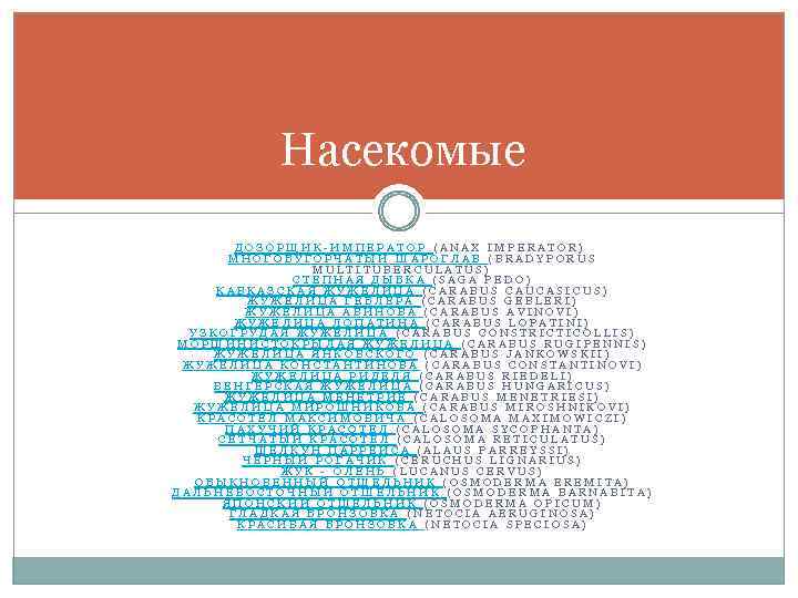 Насекомые ДОЗОРЩИК-ИМПЕРАТОР (ANAX IMPERATOR) МНОГОБУГОРЧАТЫЙ ШАРОГЛАВ (BRADYPORUS MULTITUBERCULATUS) СТЕПНАЯ ДЫБКА (SAGA PEDO) КАВКАЗСКАЯ ЖУЖЕЛИЦА