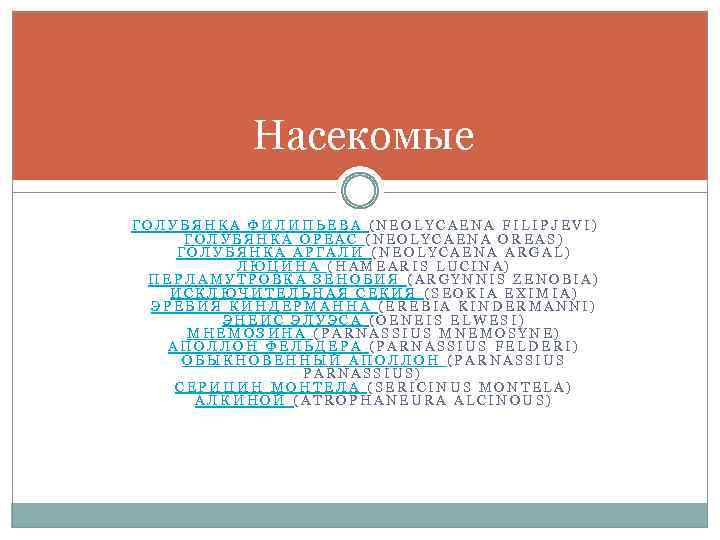 Насекомые ГОЛУБЯНКА ФИЛИПЬЕВА (NEOLYCAENA FILIPJEVI) ГОЛУБЯНКА ОРЕАС (NEOLYCAENA OREAS) ГОЛУБЯНКА АРГАЛИ (NEOLYCAENA ARGAL) ЛЮЦИНА