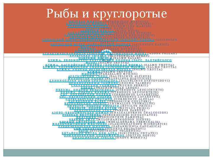 Рыбы и круглоротые МОРСКАЯ МИНОГА (PETROMYZON MARINUS) КАСПИЙСКАЯ МИНОГА (PETROMYZON WAGNERI) УКРАИНСКАЯ МИНОГА (PETROMYZON