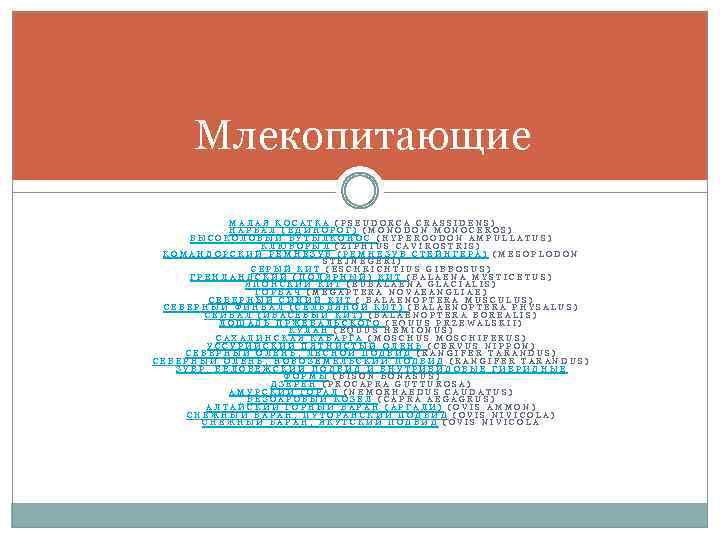 Млекопитающие МАЛАЯ КОСАТКА (PSEUDORCA CRASSIDENS) НАРВАЛ (ЕДИНОРОГ) (MONODON MONOCEROS) ВЫСОКОЛОБЫЙ БУТЫЛКОНОС (HYPEROODON AMPULLATUS) КЛЮВОРЫЛ