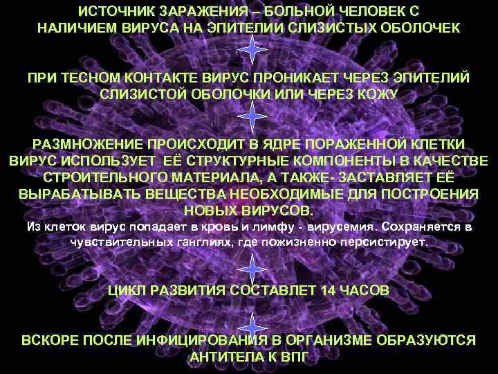 ИСТОЧНИК ЗАРАЖЕНИЯ – БОЛЬНОЙ ЧЕЛОВЕК С НАЛИЧИЕМ ВИРУСА НА ЭПИТЕЛИИ СЛИЗИСТЫХ ОБОЛОЧЕК ПРИ ТЕСНОМ