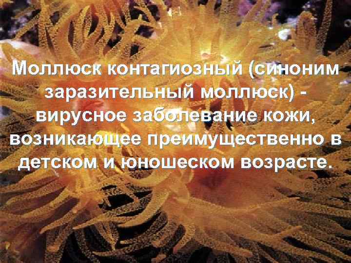 Моллюск контагиозный (синоним заразительный моллюск) вирусное заболевание кожи, возникающее преимущественно в детском и юношеском