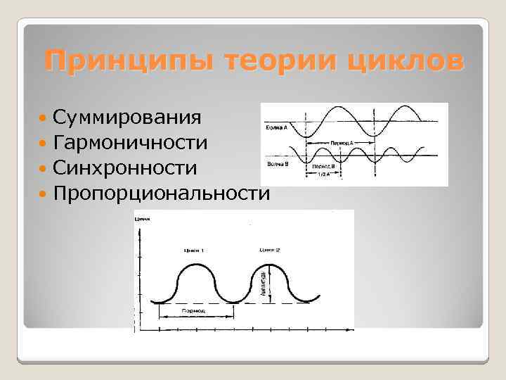 Принципы теории циклов Суммирования Гармоничности Синхронности Пропорциональности 