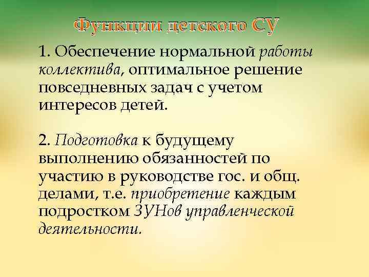 Функции детского СУ 1. Обеспечение нормальной работы коллектива, оптимальное решение повседневных задач с учетом