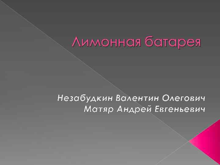 Лимонная батарея Незабудкин Валентин Олегович Матяр Андрей Евгеньевич 