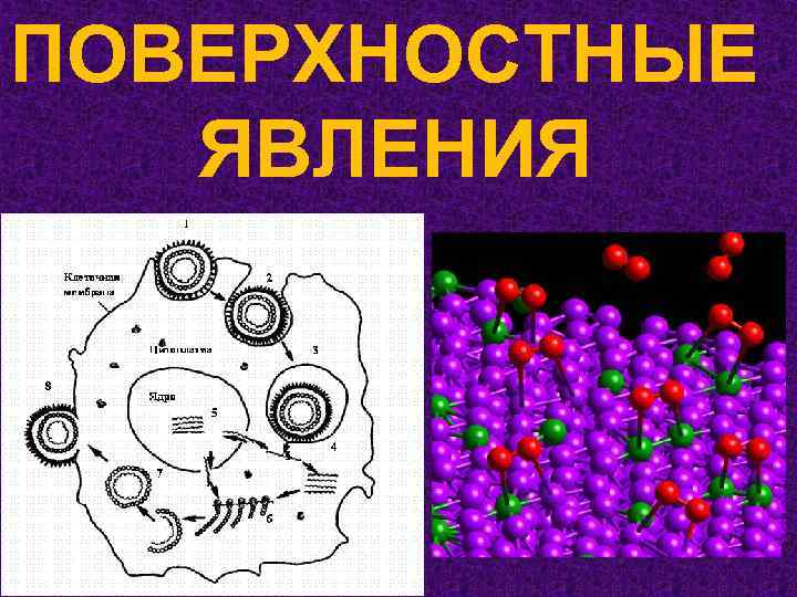 Жидкости поверхностные явления. Поверхностные явления рисунок.