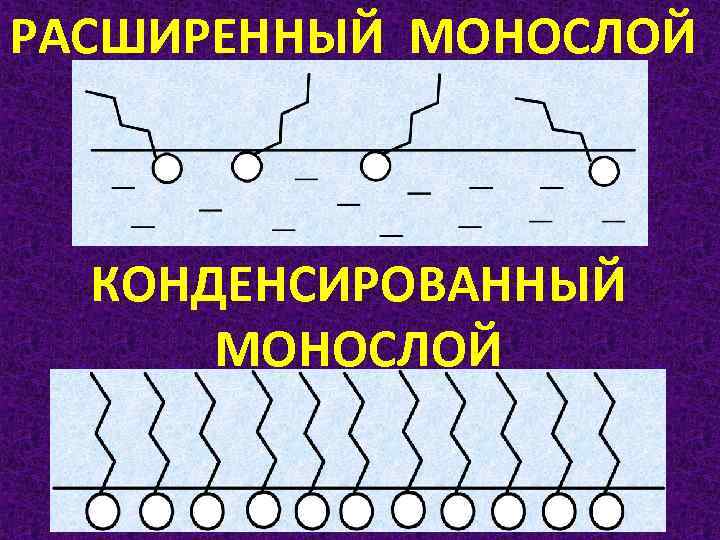 РАСШИРЕННЫЙ МОНОСЛОЙ КОНДЕНСИРОВАННЫЙ МОНОСЛОЙ 