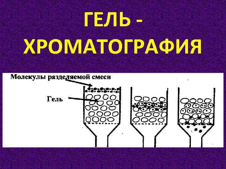 ГЕЛЬ ХРОМАТОГРАФИЯ 