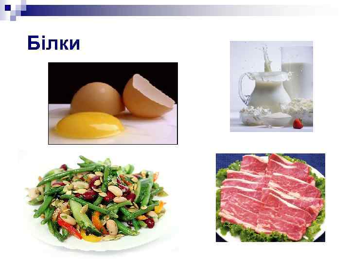 Білки 
