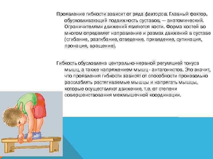 Проявление гибкости зависит от ряда факторов. Главный фактор, обусловливающий подвижность суставов, — анатомический. Ограничителями