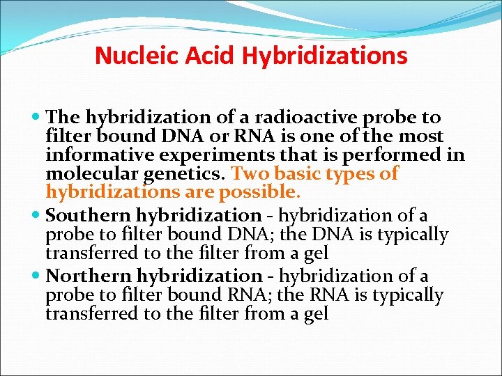Nucleic Acid Hybridizations The hybridization of a radioactive probe to filter bound DNA or