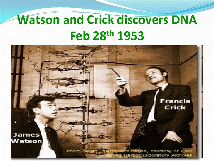 Watson and Crick discovers DNA Feb 28 th 1953 