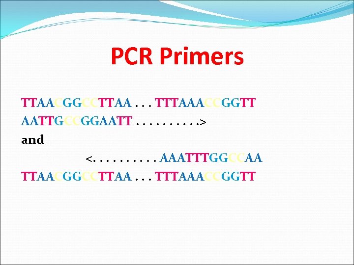 PCR Primers TTAACGGCCTTAA. . . TTTAAACCGGTT AATTGCCGGAATT. . > and <. . AAATTTGGCCAA TTAACGGCCTTAA.