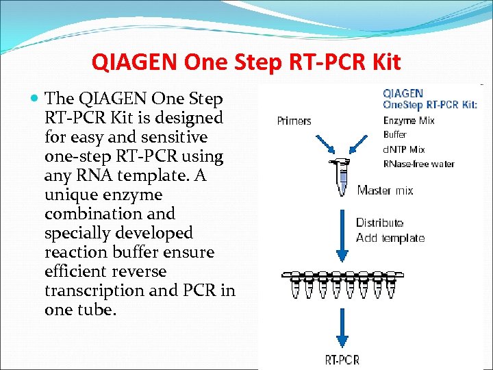 QIAGEN One Step RT-PCR Kit The QIAGEN One Step RT-PCR Kit is designed for