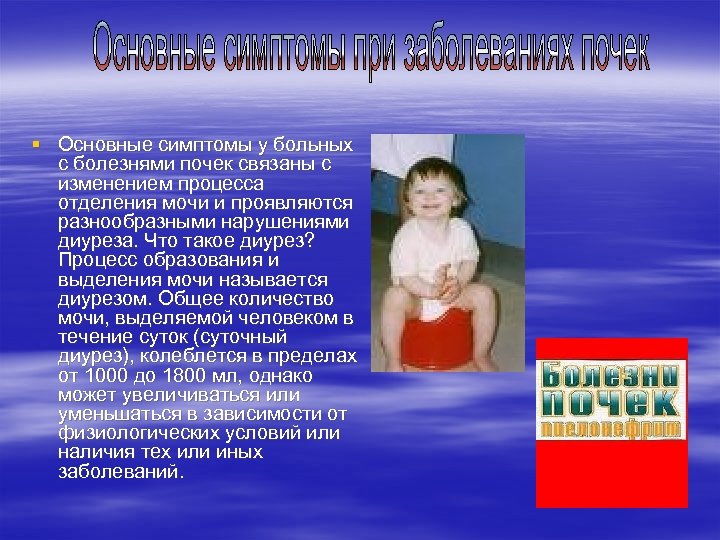 § Основные симптомы у больных с болезнями почек связаны с изменением процесса отделения мочи