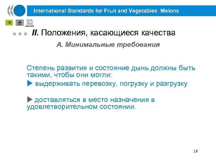 International Standards for Fruit and Vegetables: Melons l l l II. Положения, касающиеся качества