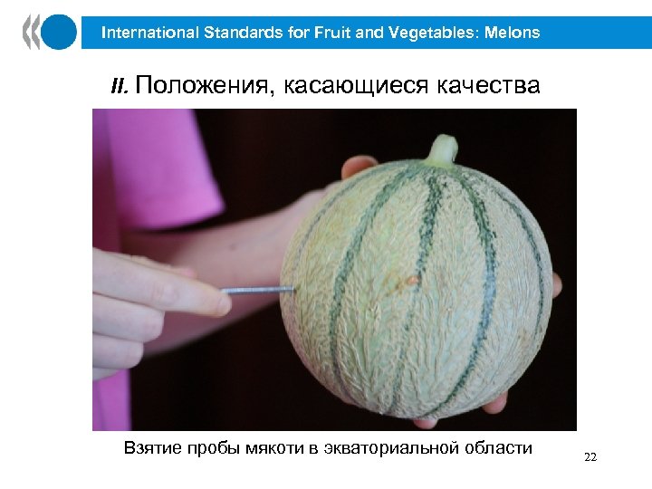 International Standards for Fruit and Vegetables: Melons II. Положения, касающиеся качества Взятие пробы мякоти