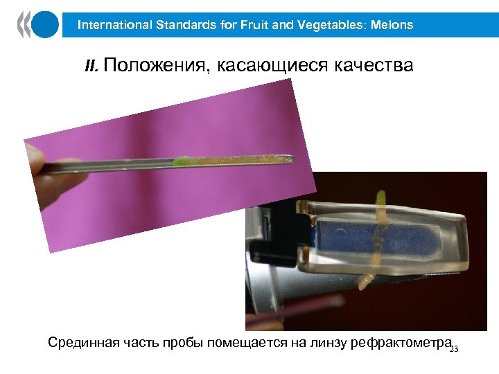 International Standards for Fruit and Vegetables: Melons II. Положения, касающиеся качества Срединная часть пробы