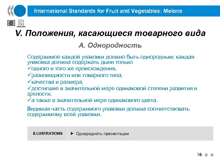 International Standards for Fruit and Vegetables: Melons V. Положения, касающиеся товарного вида A. Однородность