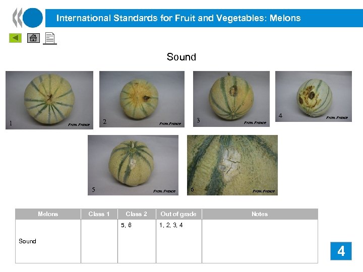 International Standards for Fruit and Vegetables: Melons Sound 1 2 From France 5 Melons
