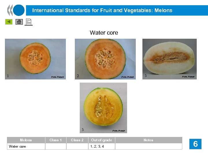 International Standards for Fruit and Vegetables: Melons Water core 1 From France 2 From