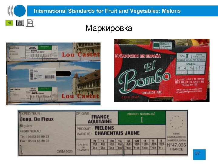 International Standards for Fruit and Vegetables: Melons Маркировка 57 