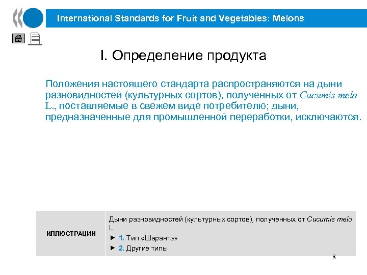 International Standards for Fruit and Vegetables: Melons I. Определение продукта Положения настоящего стандарта распространяются