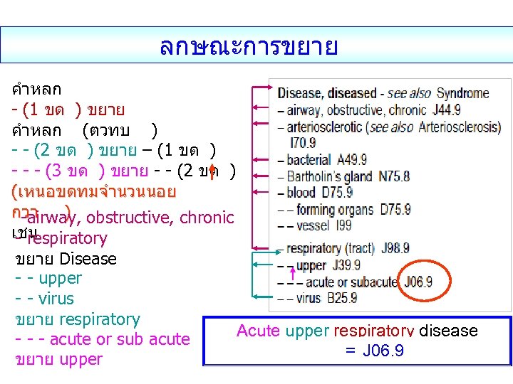 ลกษณะการขยาย คำหลก - (1 ขด ) ขยาย คำหลก (ตวทบ ) - - (2 ขด