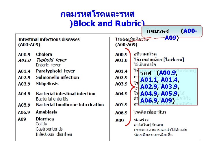 กลมรหสโรคและรหส )Block and Rubric) กลมรหส (A 00 A 09) รหส (A 00. 9, A