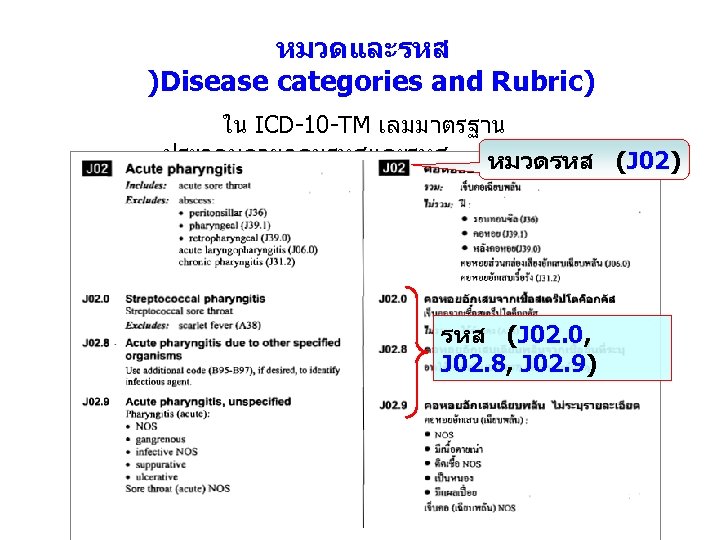 หมวดและรหส )Disease categories and Rubric) ใน ICD-10 -TM เลมมาตรฐาน ประกอบดวยกลมรหสและรหส เชน หมวดรหส (J 02)