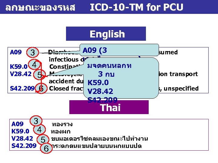 ลกษณะของรหส ICD-10 -TM for PCU English A 09 3 4 K 59. 0 V